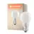 Ledvance Classic LED E27 Poire Filament Dépolie 7.5W 1055lm - 940 Cool white | Meilleur rendu des couleurs - Dimmable - Équivalent 75W